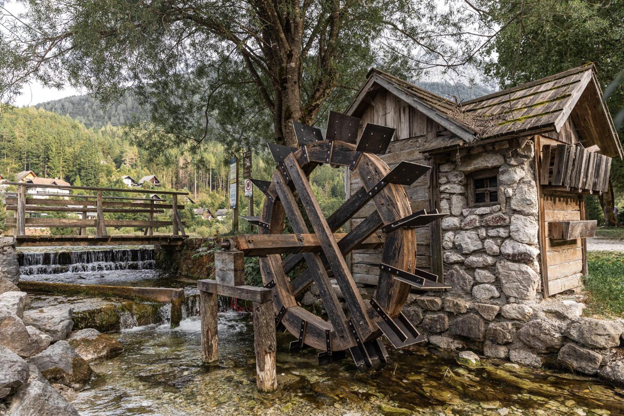 Eros Apartment Kranjska Gora Exteriör bild